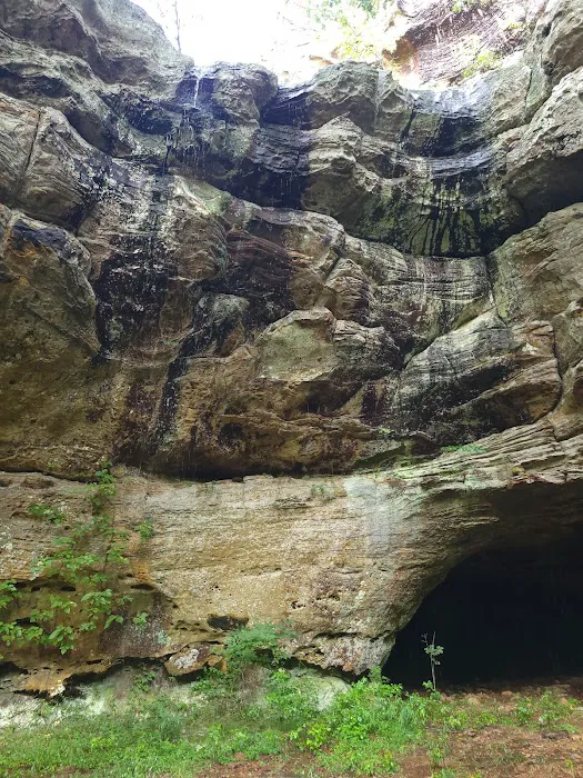 1440 Dreamland Picture 5