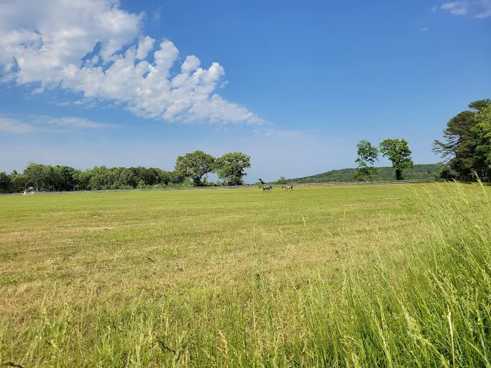 1440 Dreamland Picture 2