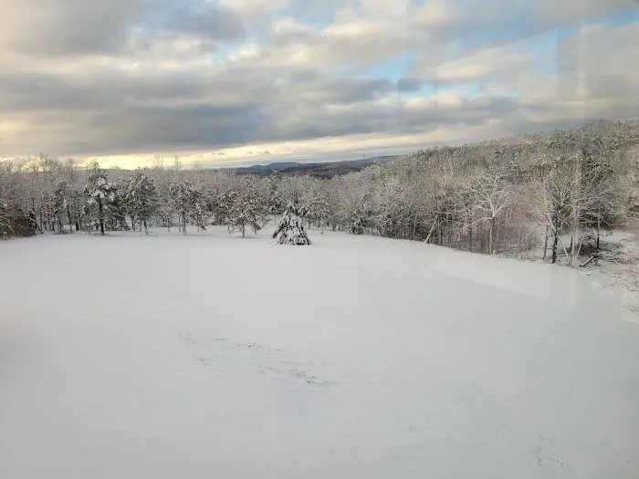 1440 Dreamland Picture 1