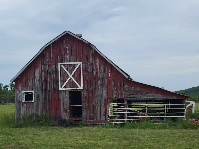 1440 Dreamland Picture 7