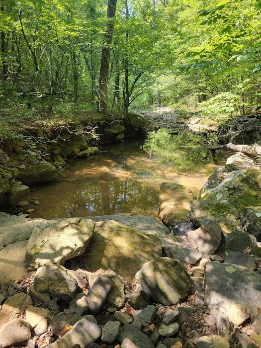 1440 Dreamland Picture 9