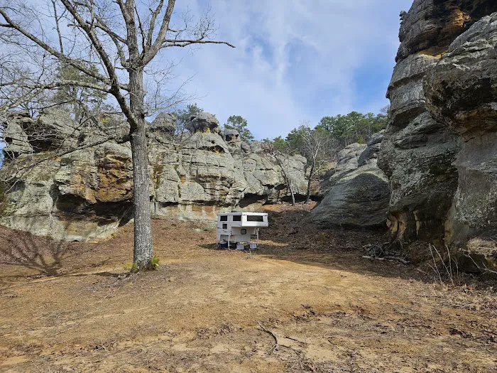 1440 Dreamland Picture 6