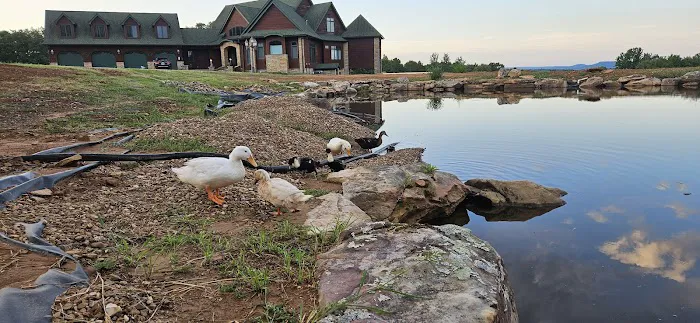 1440 Dreamland Picture 3