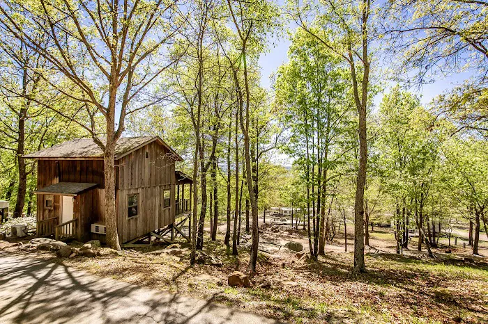 Mockingbird Mountain Resort Picture 4