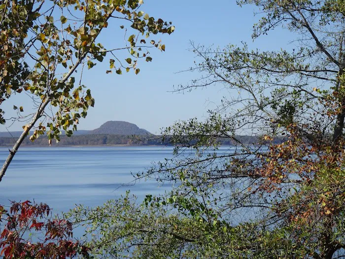 Mockingbird Mountain Resort Picture 10