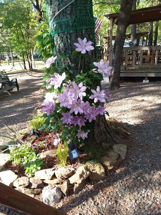 Lakeside RV Park Picture 9