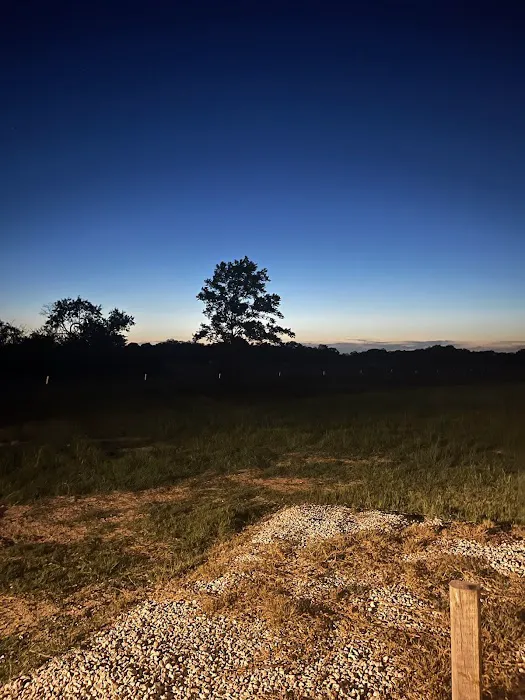 Frontier RV Park Picture 4