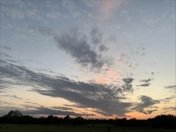 Frontier RV Park Picture 3