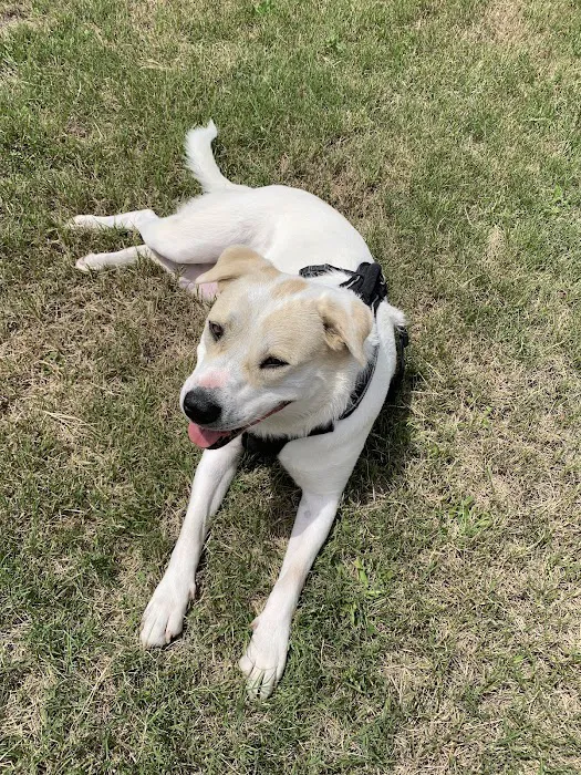 Frontier RV Park Picture 2