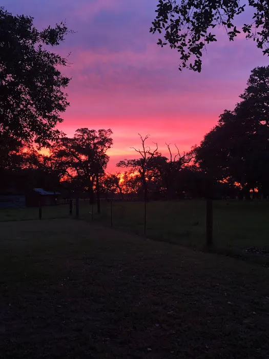 Country Oaks RV Park Picture 2