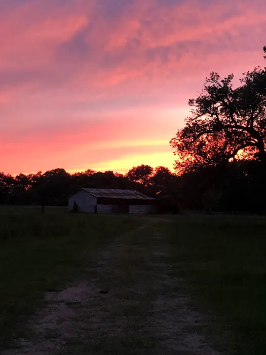 Country Oaks RV Park Picture 1