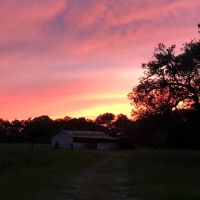 Country Oaks RV Park ico