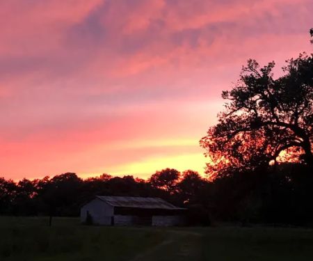 Country Oaks RV Park