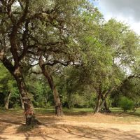 D and L's RV Park ico