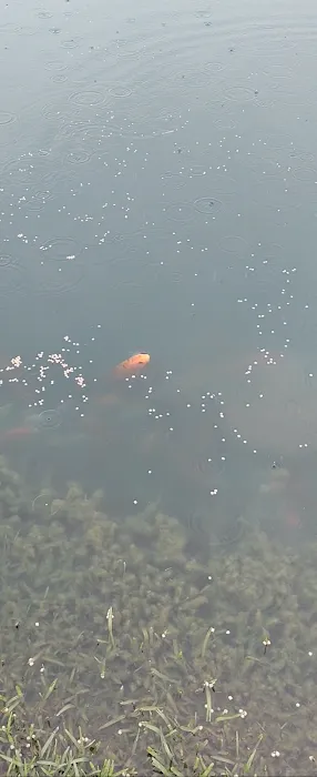 Sweetwater RV Campgrounds Picture 10