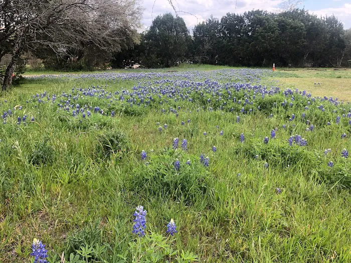 Hill Country Lakes RV Campground Picture 1