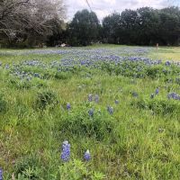 Hill Country Lakes RV Campground ico