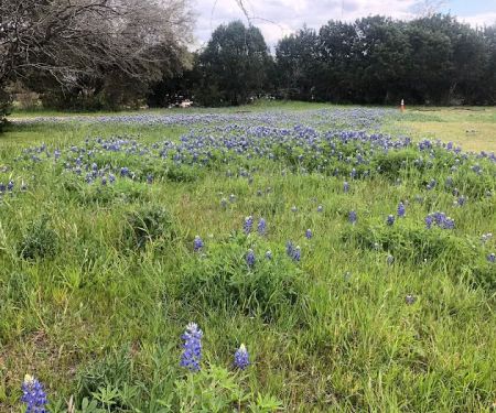 Hill Country Lakes RV Campground