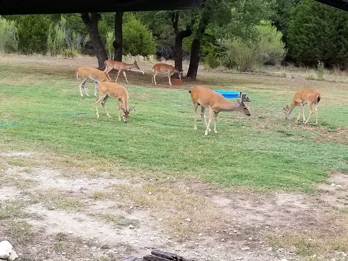 Pace Bend RV Park Picture 7