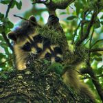 Lakeside RV Park - New Braunfels TX