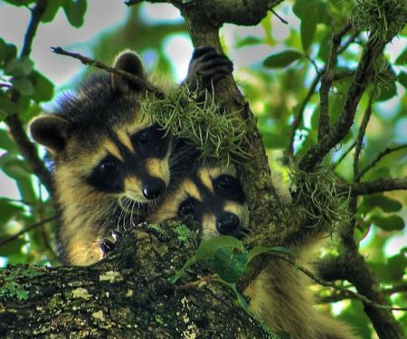 Lakeside RV Park - New Braunfels TX