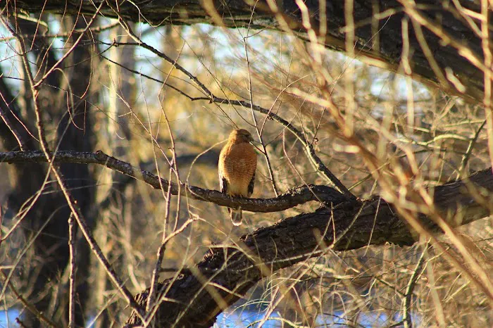Lakeside RV Park - New Braunfels TX Picture 8