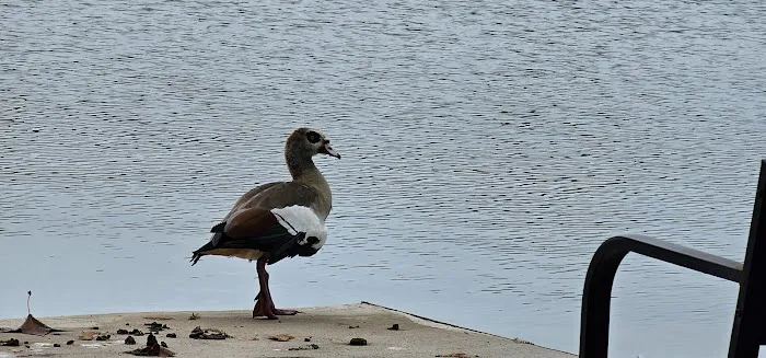 Lakeside RV Park - New Braunfels TX Picture 7