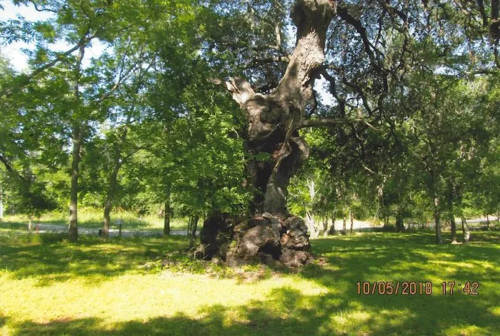 York Creek RV Park Picture 1