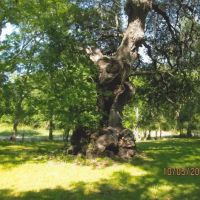 York Creek RV Park ico