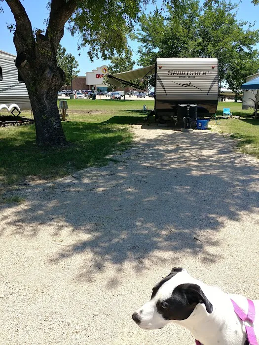 New Braunfels RV Park Picture 6