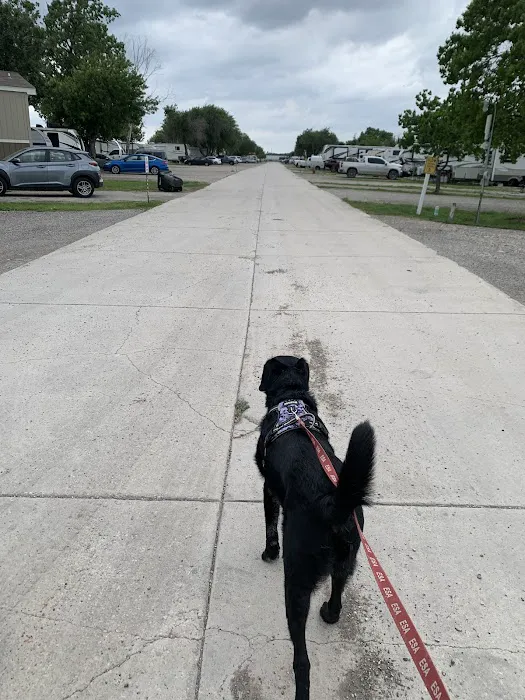 New Braunfels RV Park Picture 2