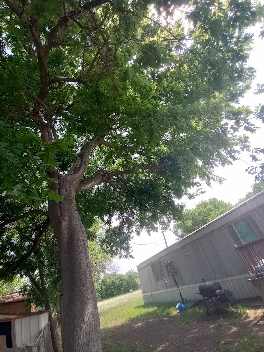 Shady Acre Mobile Home Park Picture 1