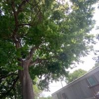 Shady Acre Mobile Home Park ico