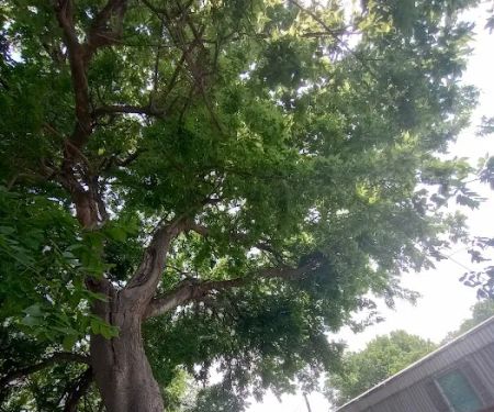 Shady Acre Mobile Home Park