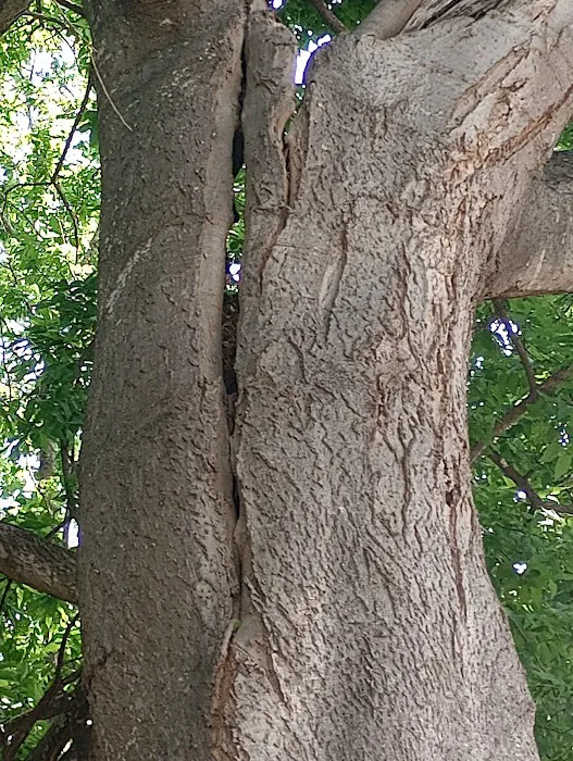 Shady Acre Mobile Home Park Picture 2