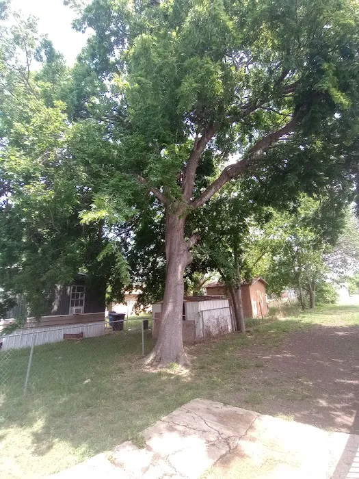 Shady Acre Mobile Home Park Picture 3