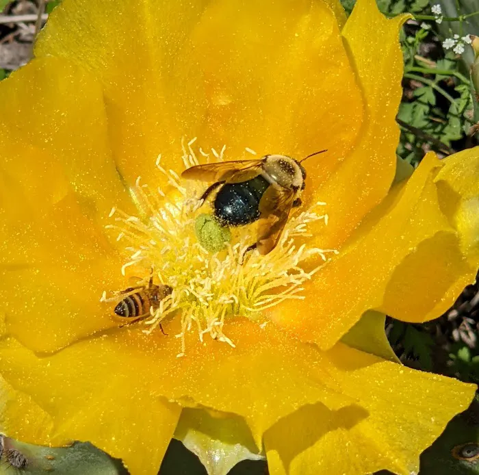 Plum Creek RV Park Picture 1