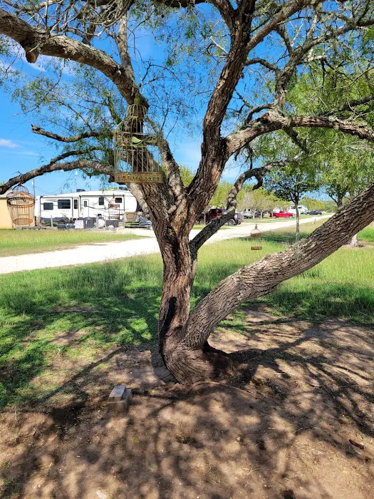 Cissy's RV Ranch Picture 5