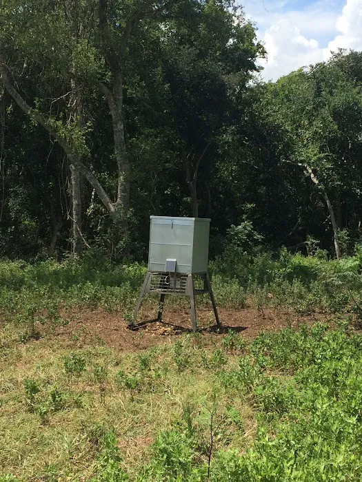 Cissy's RV Ranch Picture 8