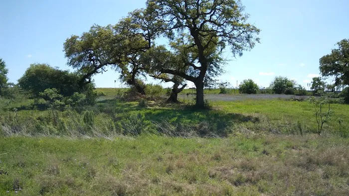 Plum Creek RV Resort Picture 5