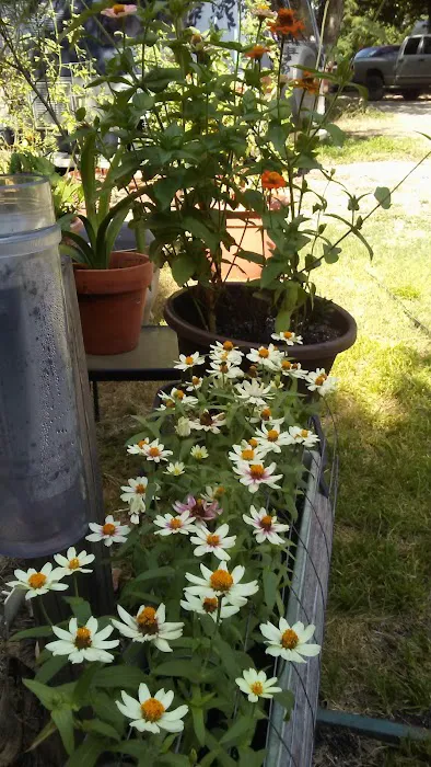 Plum Creek RV Resort Picture 9