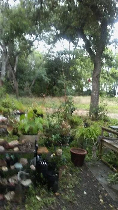 Plum Creek RV Resort Picture 7