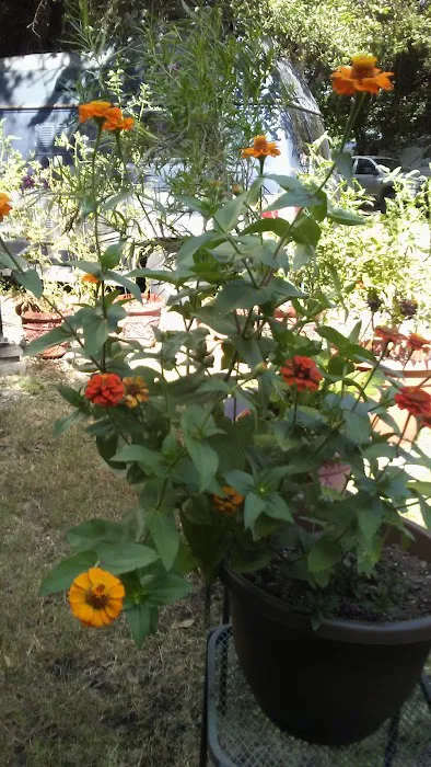 Plum Creek RV Resort Picture 6