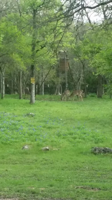 Hidden Trails on Roland Picture 1