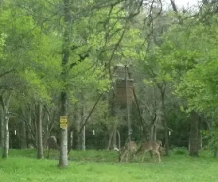 Hidden Trails on Roland