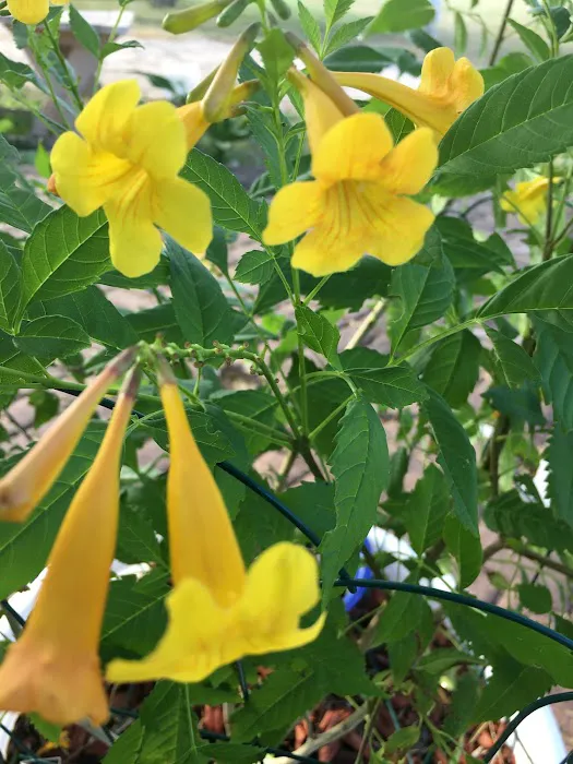 Jerico Ranch Rv Park Picture 1