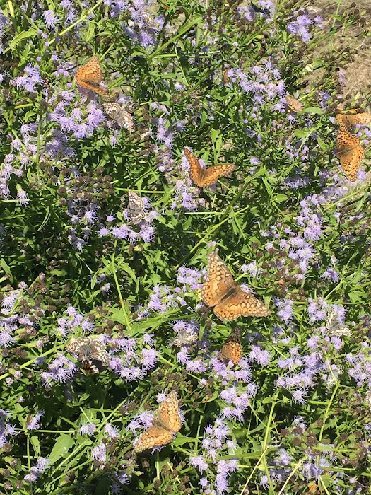 Jerico Ranch Rv Park Picture 3