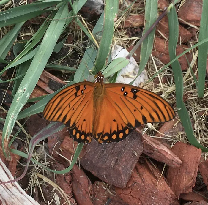 Jerico Ranch Rv Park Picture 4