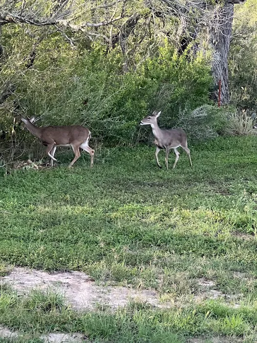 Jerico Ranch Rv Park Picture 6
