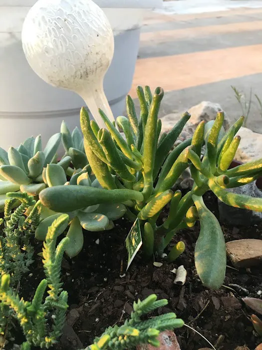 Jerico Ranch Rv Park Picture 10